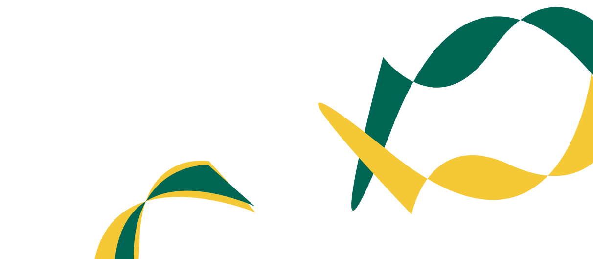 Expert Solutions for Corporate  Financial Success. - 多多28